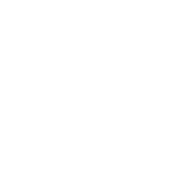 dnv