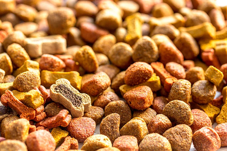 agroalimentaire